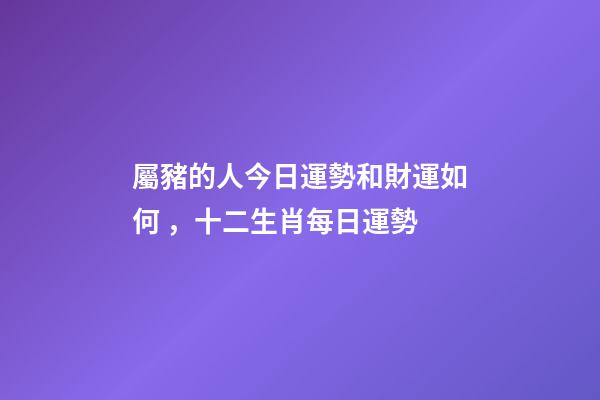 屬豬的人今日運勢和財運如何，十二生肖每日運勢-第1張-觀點-玄機派